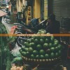 (饥荒年我囤货养了个古代男友短剧免费观看)饥荒，生存的挑战与社会的反思