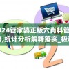2024管家婆正版六肖料管家婆,统计分析解释落实_极速版IPADv.5.435