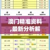 澳门精准资料,最新分析解释落实_MT款v.9.890