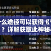 通过什么途径可以获得《守墓人笔记》？详解获取此神秘小说的方法与技巧