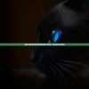 (猫咪天堂游戏家具全收集图鉴)猫咪天堂攻略，家具选择与布置秘籍