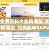 澳门免费资料大全精准版,实时更新解释落实_经典版WSAPv.3.204