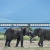 (造梦西游ol攻略唐僧技能)造梦西游OL攻略，唐僧角色深度解析与实战指南
