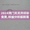 2024澳门天天开好彩免费,权威分析解释落实_和谐版v.4.292