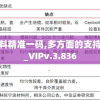 新澳内部资料精准一码,多方面的支持计划与实施_VIPv.3.836