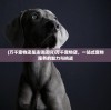 (万千宠物店是连锁店吗)万千宠物店，一站式宠物服务的魅力与挑战
