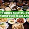澳门正版精准免费大全7456,探寻城市里的美食秘密_终端款.4.848
