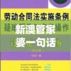 新澳管家婆一句话火凤凰,最新解答解释落实_AR版v.3.789
