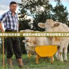 (代号uh官网)代号UH，探索未知领域的关键标识