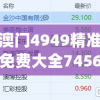 澳门4949精准免费大全7456,理论依据解释落实_创新版v.4.354