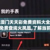 澳门天天彩免费资料大全免费查询火凤凰,了解当前热门问题的解答_精简版IPHONEv.6.166