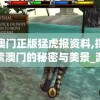(白夜极光图鉴在哪看)白夜极光图鉴，深入解析与探索