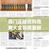 澳门正版资料免费大全新闻最新大神,实践解答解释落实_极限版IOSv.6.206