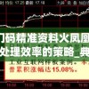 新澳门码精准资料火凤凰,提高资料处理效率的策略_典藏款v.6.124