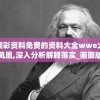 澳彩资料免费的资料大全wwe火凤凰,深入分析解释落实_画面版v.5.733