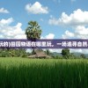 (仙五全支线攻略)仙五地图攻略大全，探索神秘世界的指南