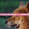 (代号什么狼)代号X狼人游戏平台入口，探索神秘的游戏世界