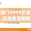 新澳门4949正版大全,深度解答解释落实_兼容品v.6.259