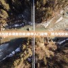 (烈火电视剧免费播放任嘉伦在线观看)烈火电视剧免费播放任嘉伦，深度解析与常见问题解答