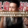 澳彩资料免费的资料大全wwe火凤凰,深入理解各种问题的解决方案_RX版v.8.776