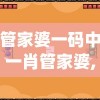 管家婆一码中一肖管家婆,实时更新解释落实_冒险版GMv.4.751