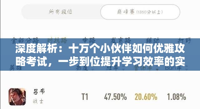 深度解析：十万个小伙伴如何优雅攻略考试，一步到位提升学习效率的实用指南