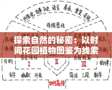 探索自然的秘密：以时间花园植物图鉴为线索，揭示植物演化与时间的奇妙联系