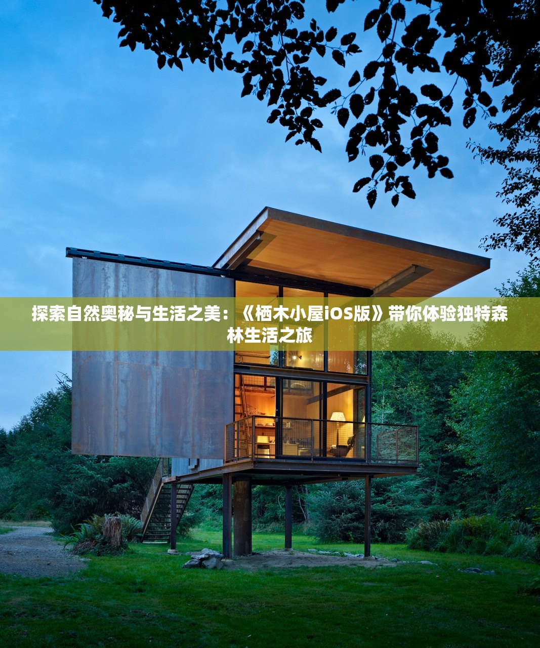 探索自然奥秘与生活之美：《栖木小屋iOS版》带你体验独特森林生活之旅