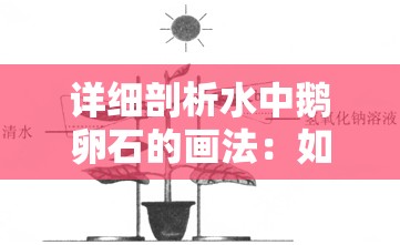 详细剖析水中鹅卵石的画法：如何运用光线和反射的原理捕捉其质感