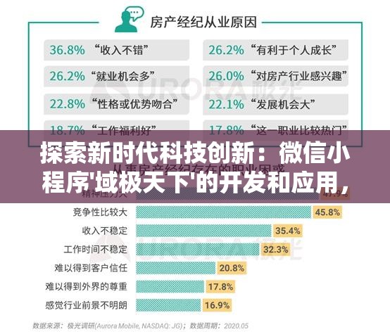 探索新时代科技创新：微信小程序'域极天下'的开发和应用，挖掘其在各领域的潜力和价值