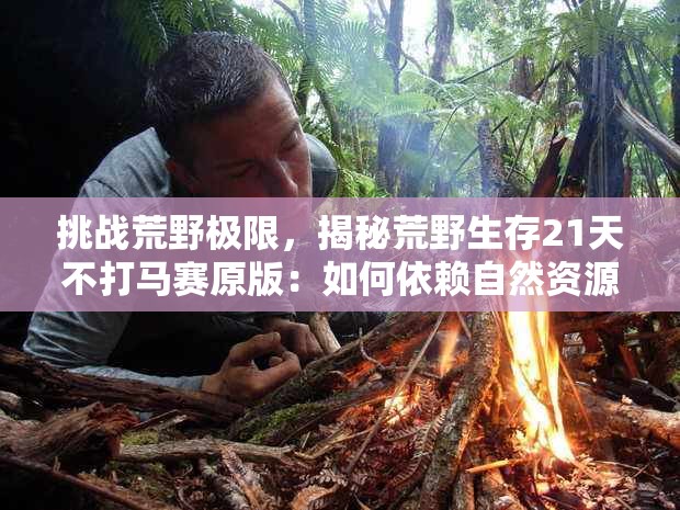 挑战荒野极限，揭秘荒野生存21天不打马赛原版：如何依赖自然资源度过危机