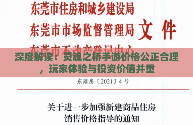 深度解读：灵魂之桥手游价格公正合理，玩家体验与投资价值并重
