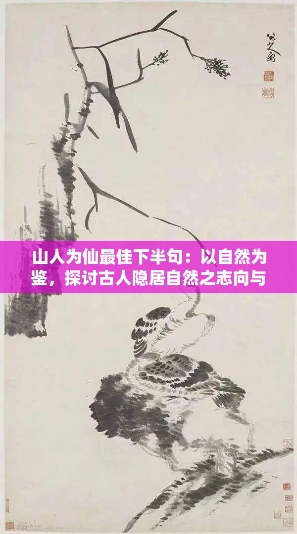 山人为仙最佳下半句：以自然为鉴，探讨古人隐居自然之志向与现代人对生态环境的课题