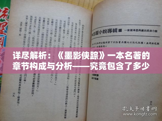 详尽解析：《墨影侠踪》一本名著的章节构成与分析——究竟包含了多少章节？