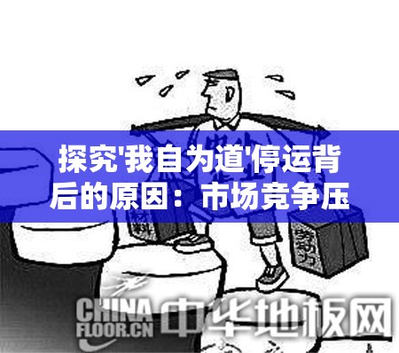 探究'我自为道'停运背后的原因：市场竞争压力、运营困难，或是政策监管的影响？