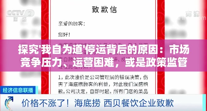 探究'我自为道'停运背后的原因：市场竞争压力、运营困难，或是政策监管的影响？