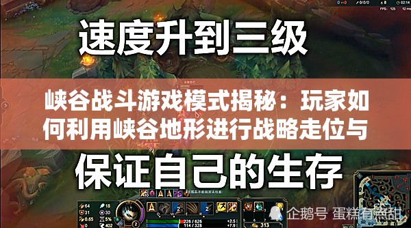 峡谷战斗游戏模式揭秘：玩家如何利用峡谷地形进行战略走位与团队配合