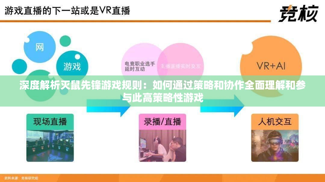 深度解析灭鼠先锋游戏规则：如何通过策略和协作全面理解和参与此高策略性游戏