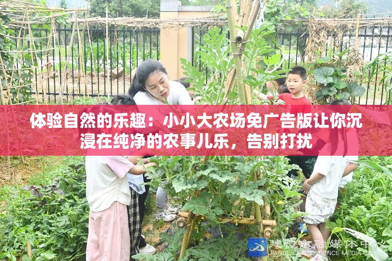 体验自然的乐趣：小小大农场免广告版让你沉浸在纯净的农事儿乐，告别打扰