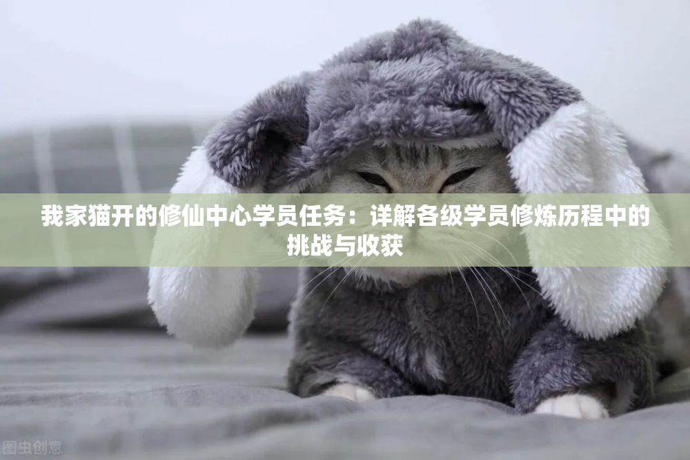 我家猫开的修仙中心学员任务：详解各级学员修炼历程中的挑战与收获