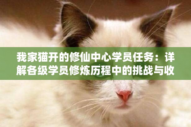 我家猫开的修仙中心学员任务：详解各级学员修炼历程中的挑战与收获