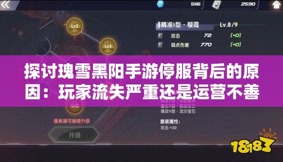 探讨瑰雪黑阳手游停服背后的原因：玩家流失严重还是运营不善导致的结果?