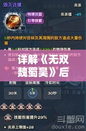 详解《无双魏蜀吴》后期天命阵容配置：如何根据历史特色选择偏门英雄