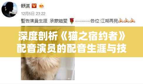 深度剖析《猫之宿约者》配音演员的配音生涯与技巧，揭秘他们为角色赋予生命的故事