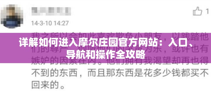 详解如何进入摩尔庄园官方网站：入口、导航和操作全攻略