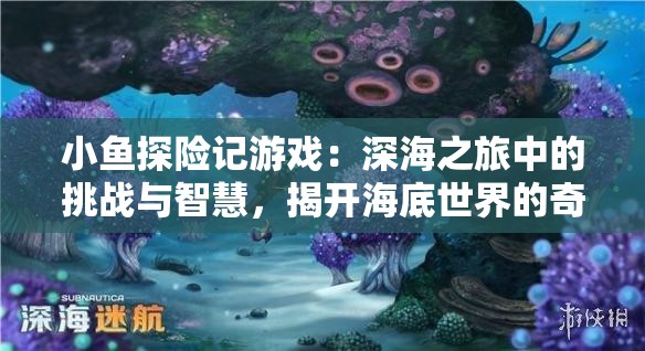 小鱼探险记游戏：深海之旅中的挑战与智慧，揭开海底世界的奇妙秘密