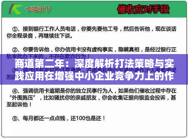 商道第二年：深度解析打法策略与实践应用在增强中小企业竞争力上的作用