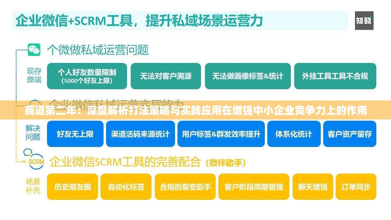 商道第二年：深度解析打法策略与实践应用在增强中小企业竞争力上的作用