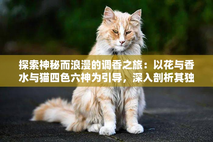 探索神秘而浪漫的调香之旅：以花与香水与猫四色六神为引导，深入剖析其独特调配方法和香味魅力