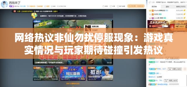 网络热议非仙勿扰停服现象：游戏真实情况与玩家期待碰撞引发热议